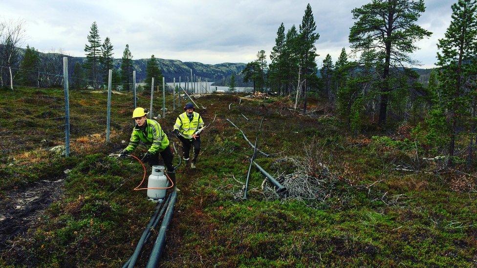 Contractors working on the border fence