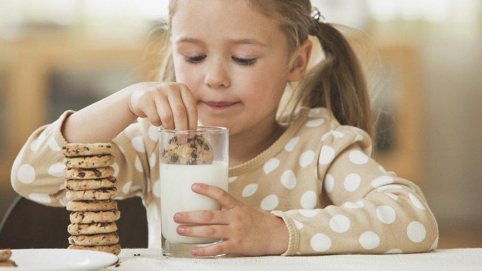 Girl dunking biscuits in milk