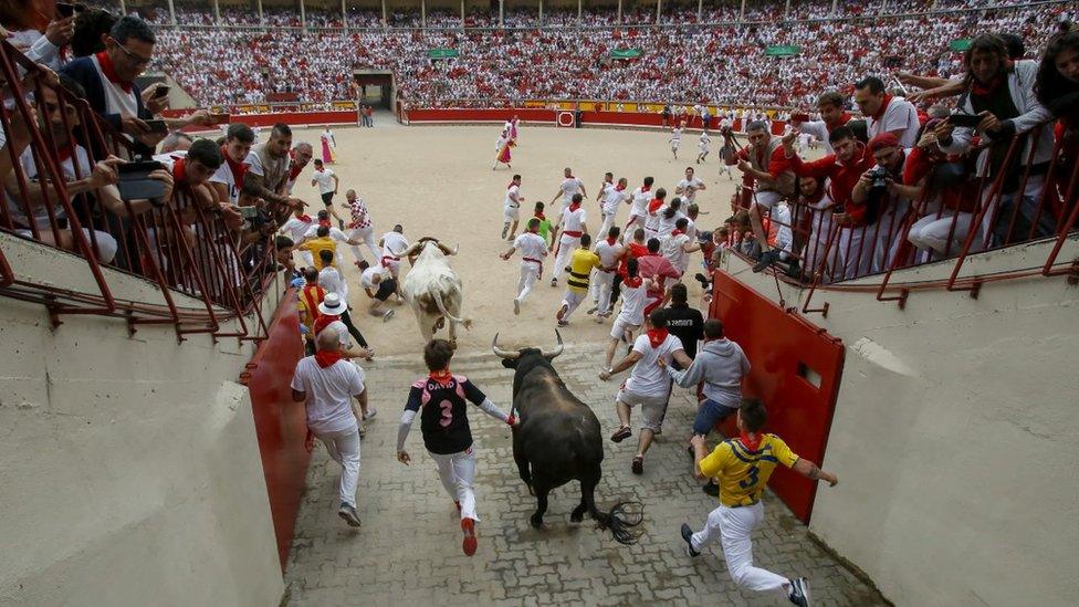 Revellers run with Puerto de San Lorenzo's fighting bulls as they enter the bullring during the second day of the San Fermin Running of the Bulls festival