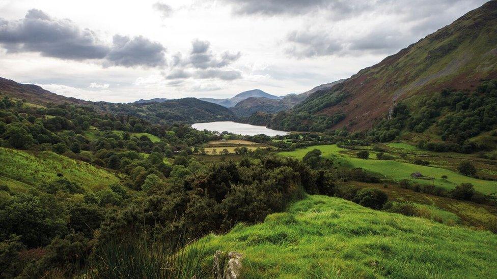 Welsh mountains and lake