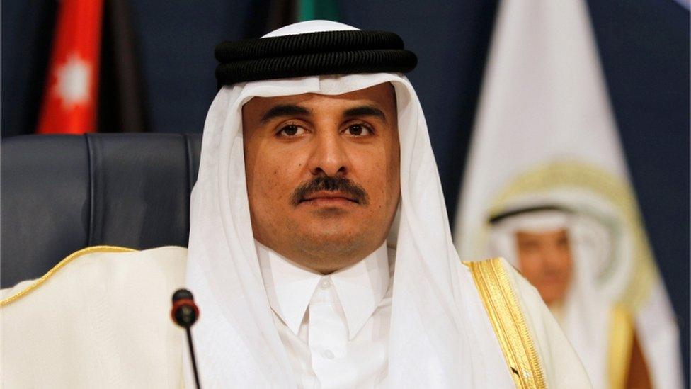 Emir of Qatar Sheikh Tamim bin Hamad al-Thani, 2017