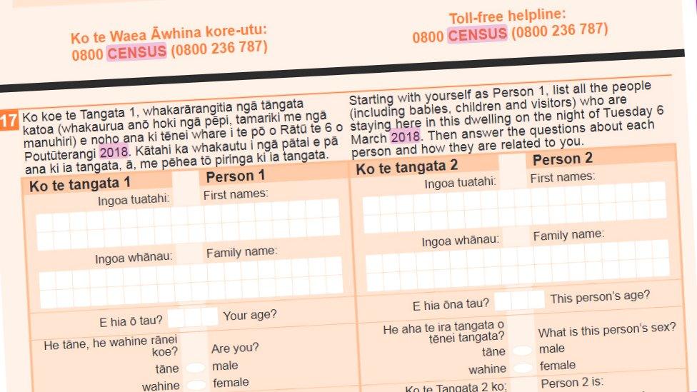 Bilingual census form