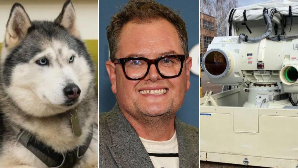 huskie-style dog, Alan car, laser machine