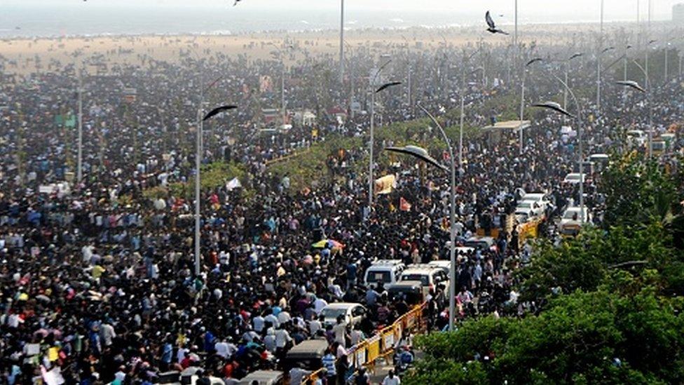 Huge crowds protest in support of jallikattu in Chennai (20 January 2017)