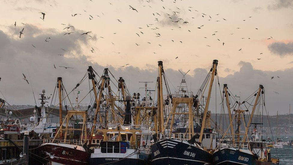 fishing-boats-in-Devon.