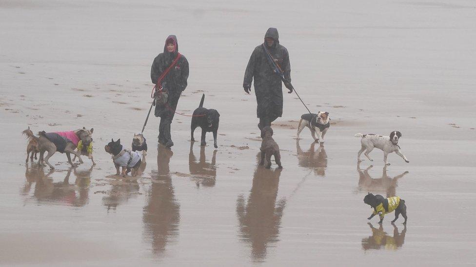 Dog walkers brave the rain and wind on the beach in Tynemouth