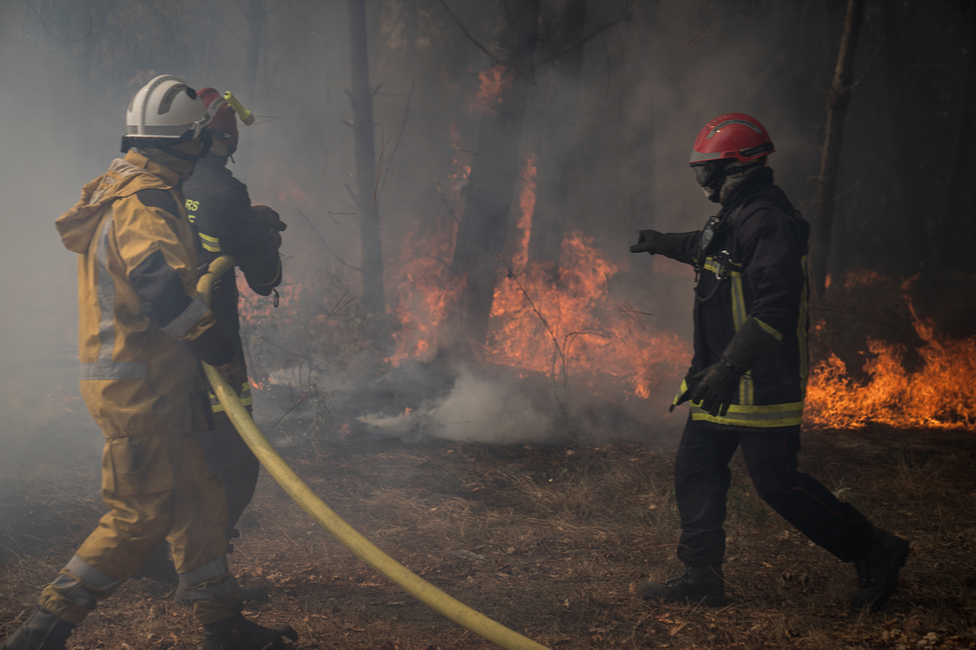 The blaze first spotted by Escutia went on to burn more than 14,000 acres of forestland.