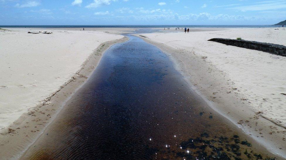 Simon Wilkin took this picture while walking from Oxwich Bay to Three Cliffs in Gower.