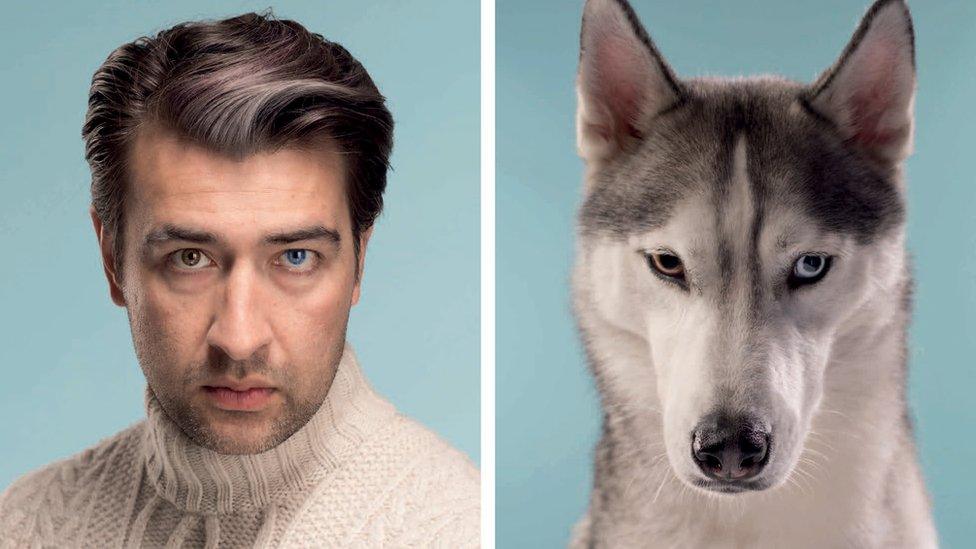 A man with brown hair in a quiff and a brown and blue eye stares forward next to a grey and white husky looking forward with one brown and one light blue eye.