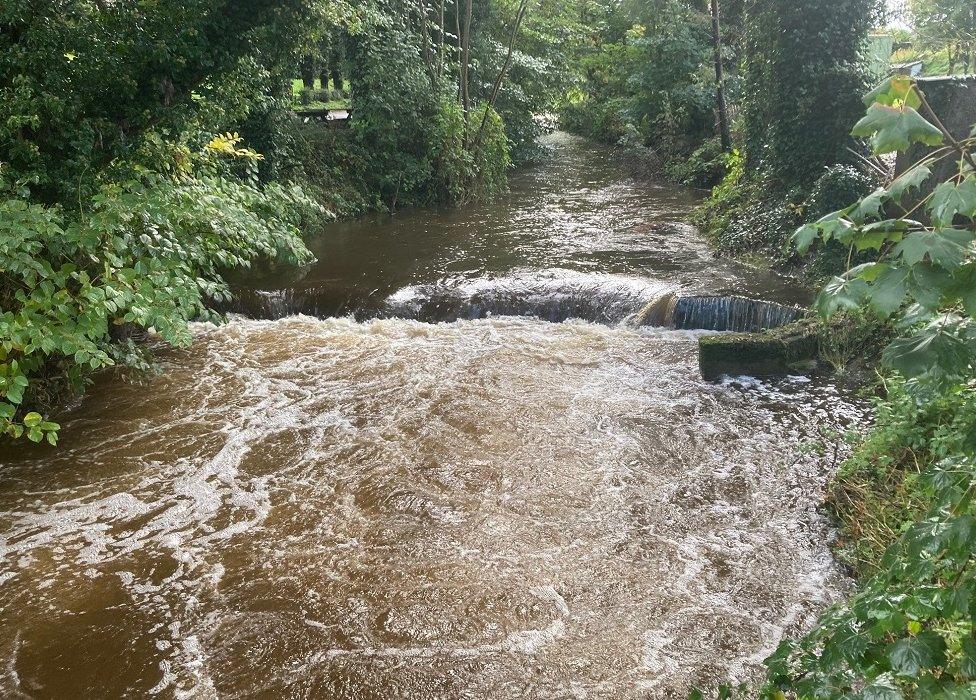 Fish kill river Keady