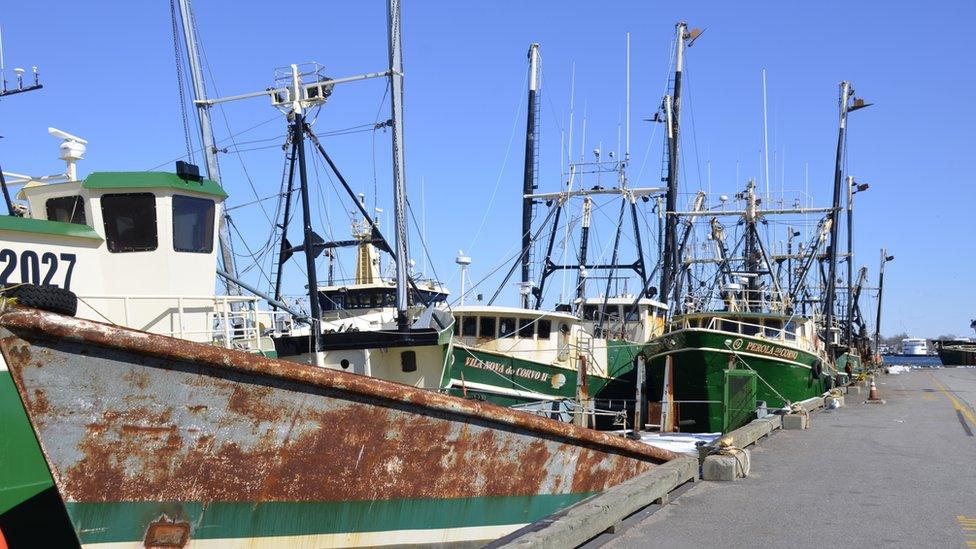 Several fishing boats are shown tied to a long dock