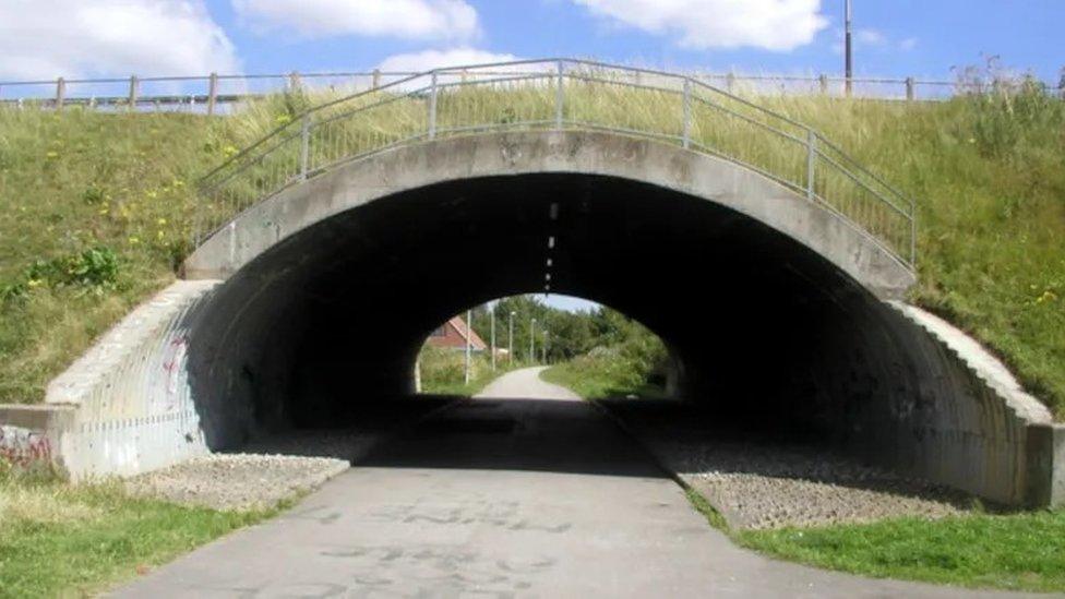 Marfleet Lane flyover