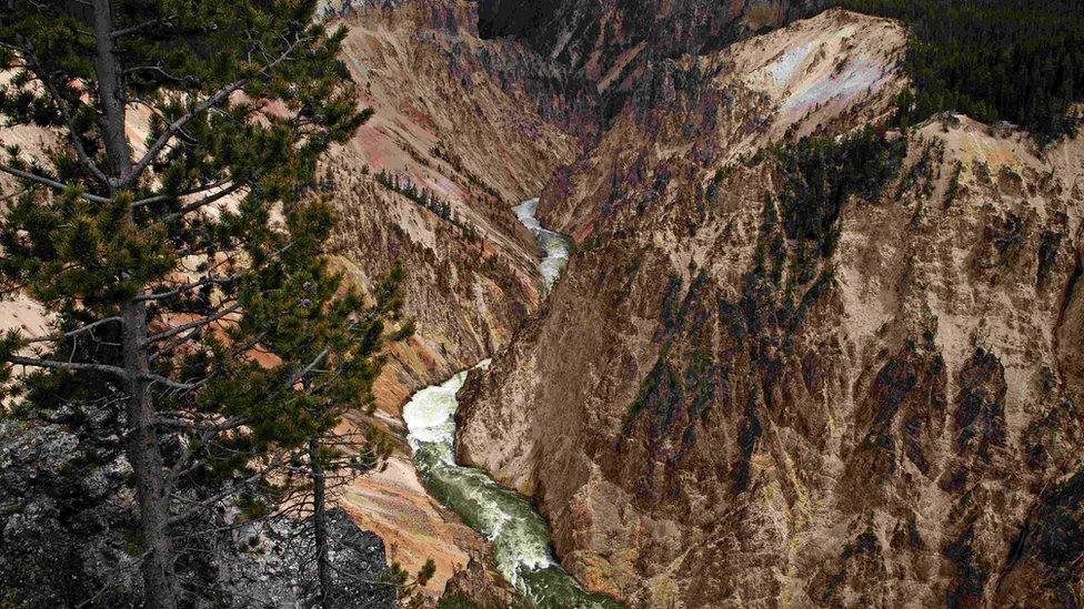 The Grand Canyon of the Yellowstone River in Yellowstone National Park, Wyoming