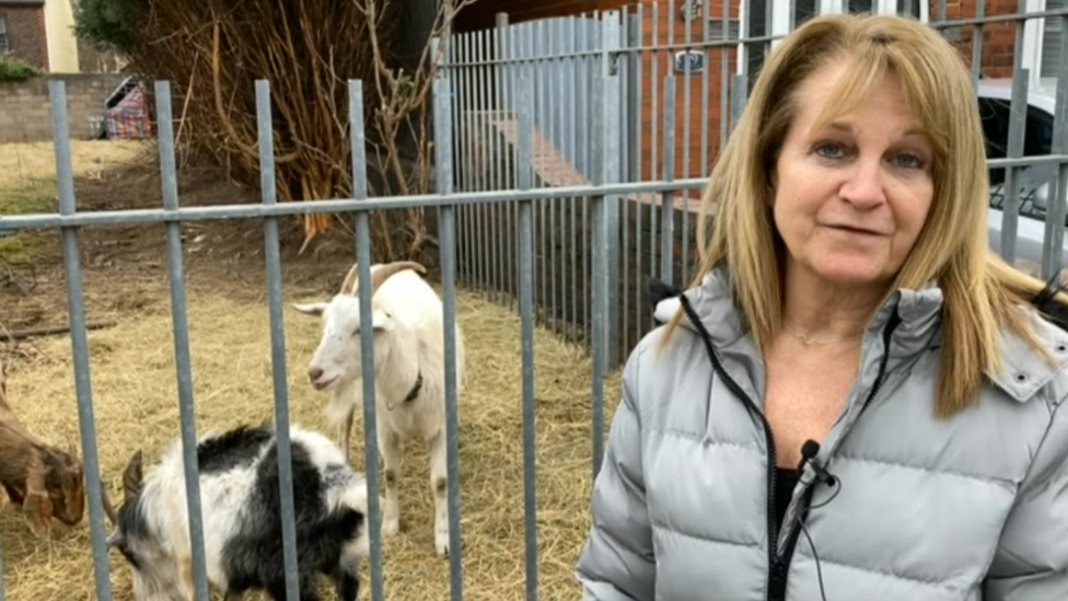 Julie and some goats