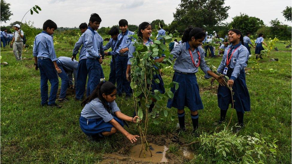 School children planting trees.