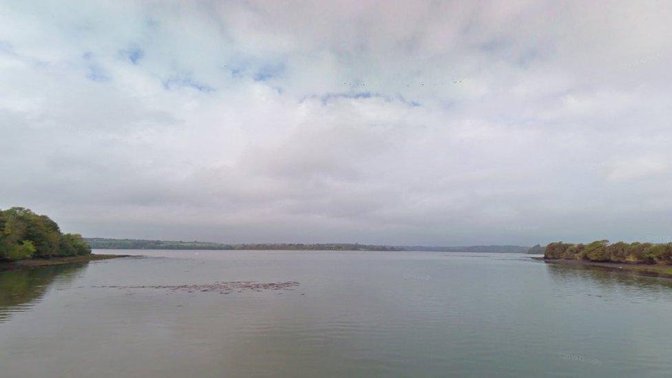 Cleddau Estuary