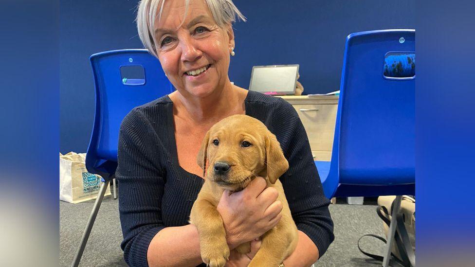 A woman wearing a blue top holds a golden Labrador puppy on her lap. Behind her are two blue chairs and a laptop on a table.