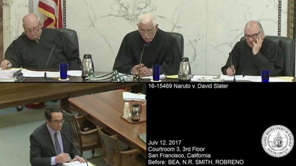 judges hearing the case in San Francisco