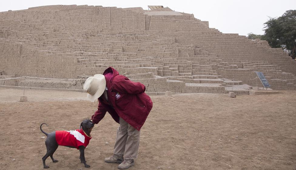 A park worker pets Sumac