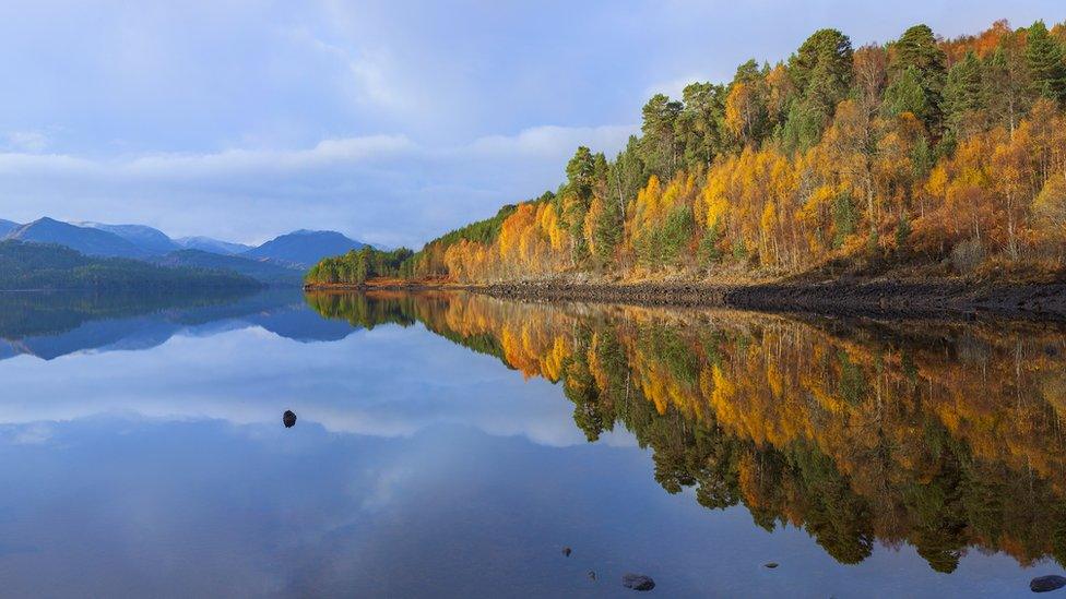 Glen Affric