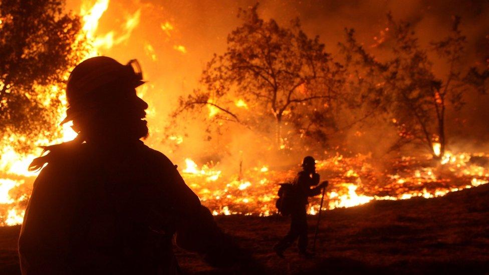 US Forest Service firefighters (in silhouette) monitor a back fire August 31, 2009 in La Crescenta, California