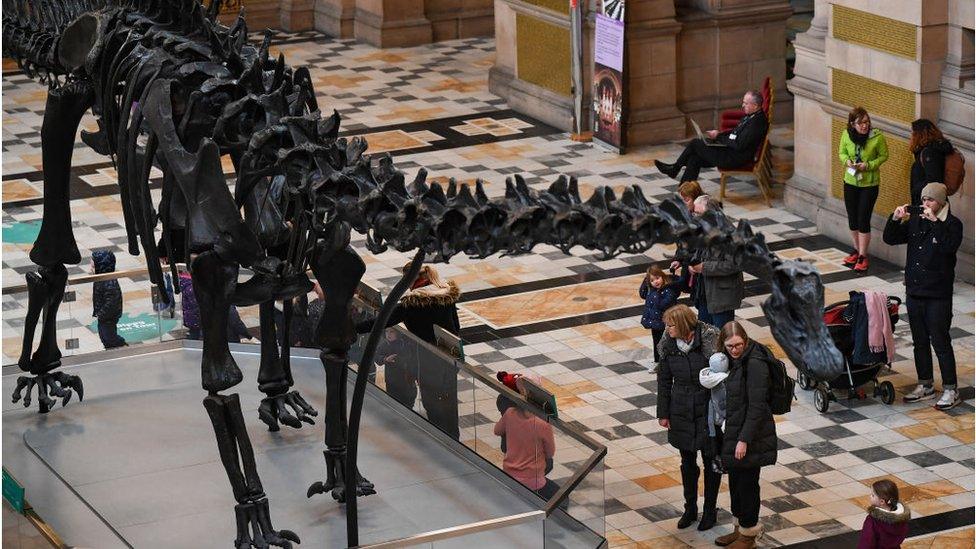 Dippy at Kelvingrove