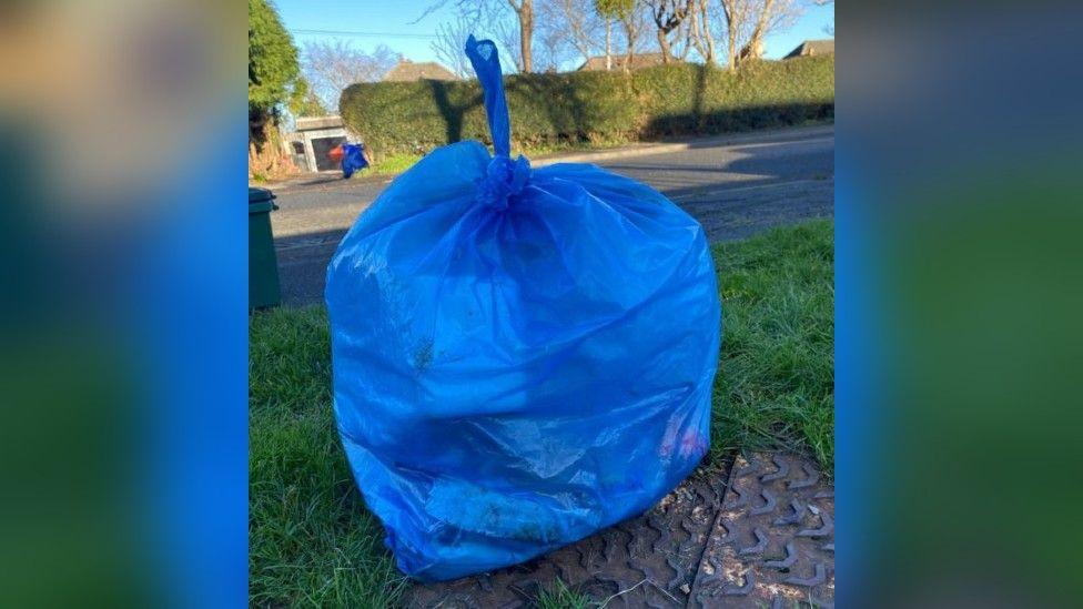 A blue rubbish bag on the pavement. It is tied at the top. There is a road in the background and a hedge. 