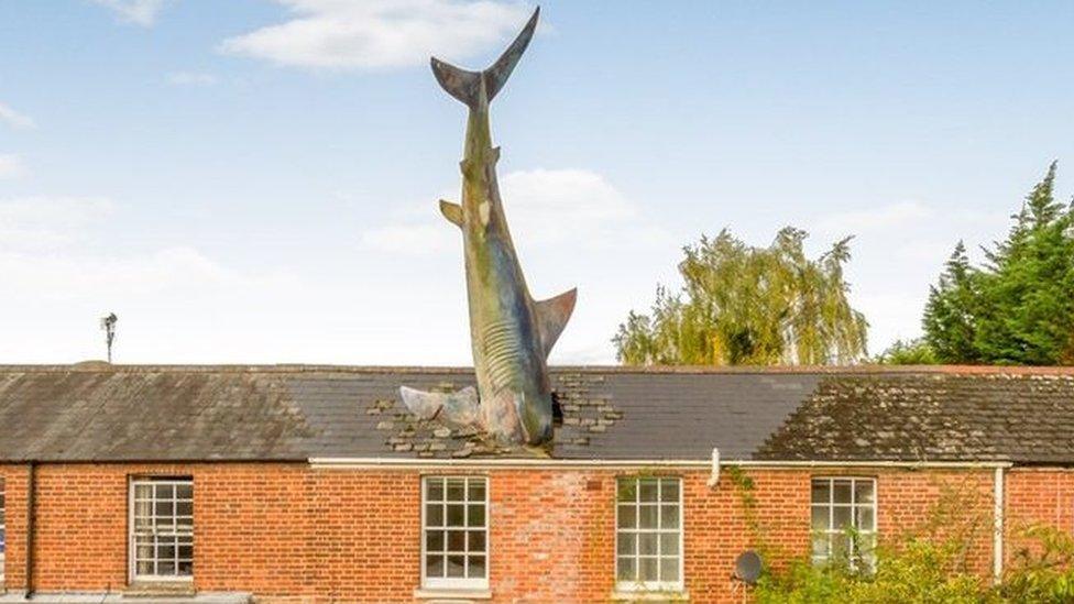 Headington Shark