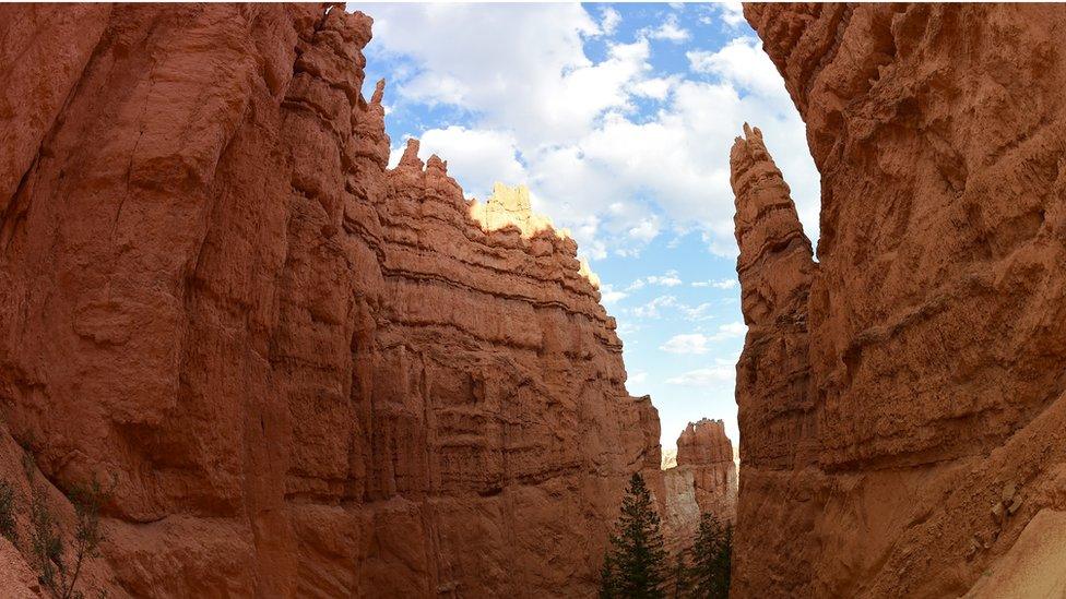 Bryce National Park in Utah