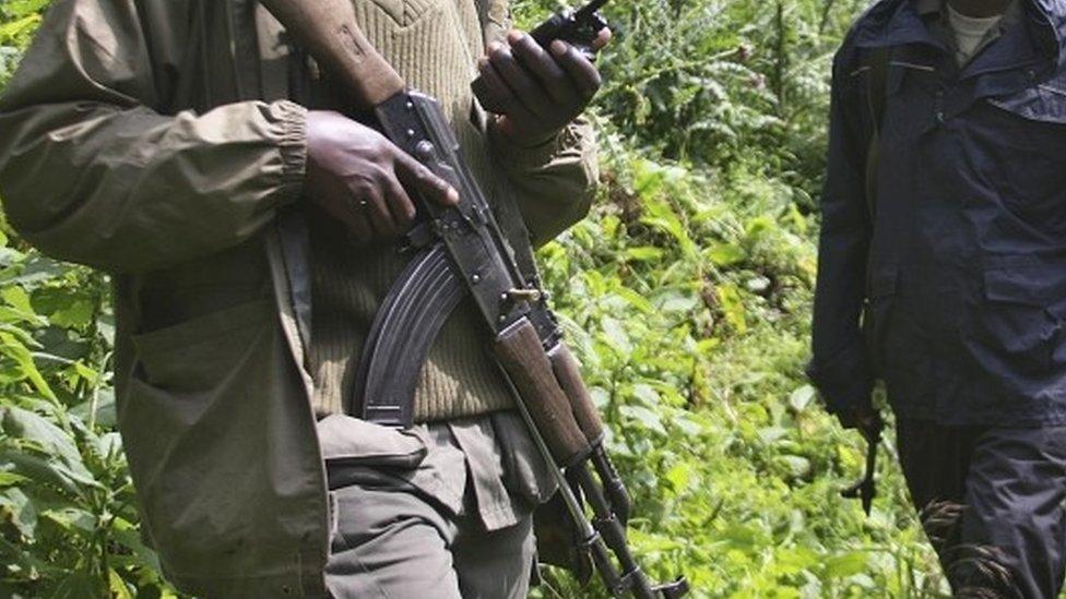 Armed rangers in the Virunga National Park. File photo