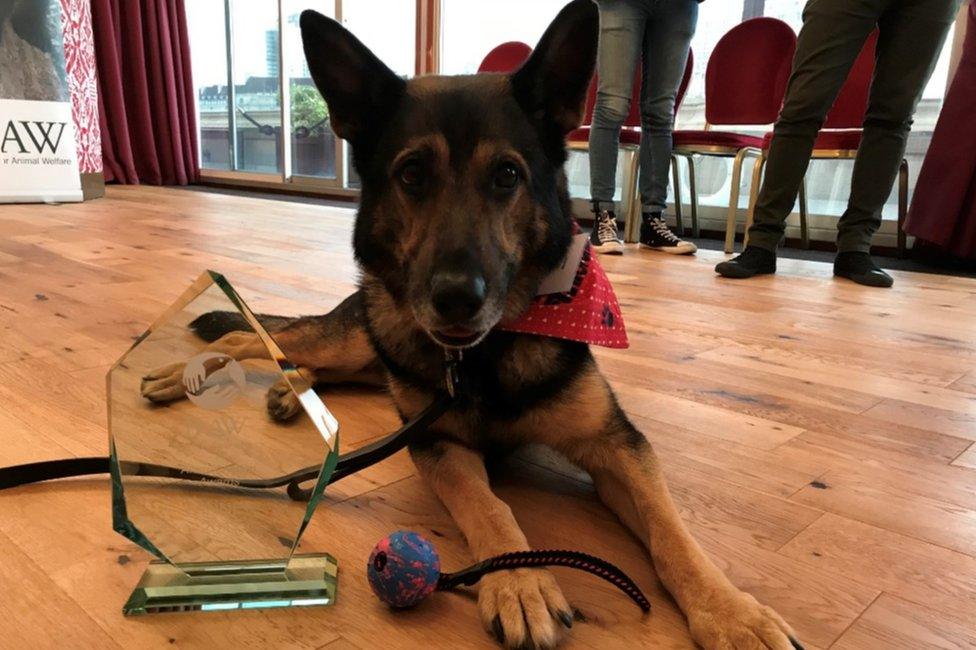 Finn with his award