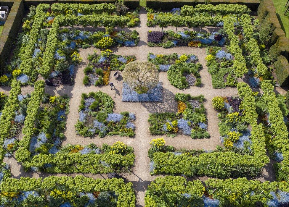 An aerial photo of a garden filled with flowers and trees in an angular design