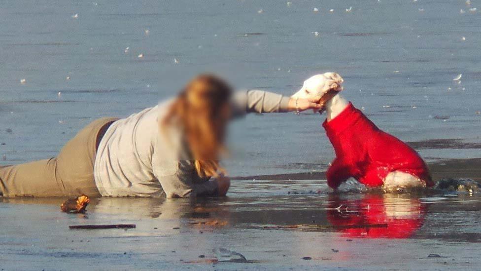 Woman reaches out to rescue dog
