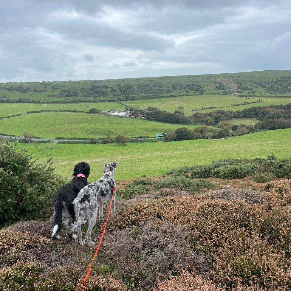 Headon Warren near Totland on the Isle of Wight