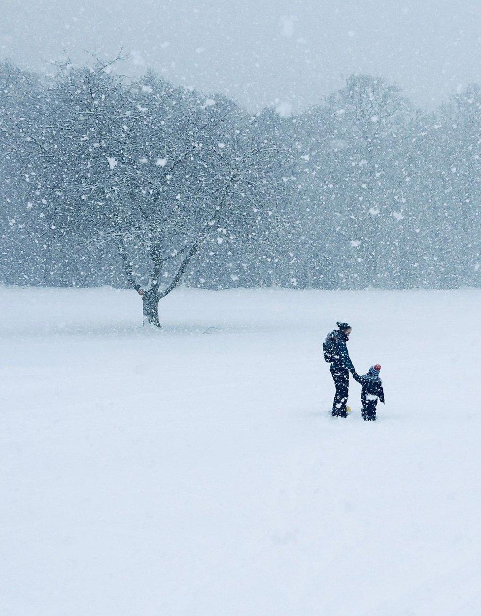 Snow at Banchory