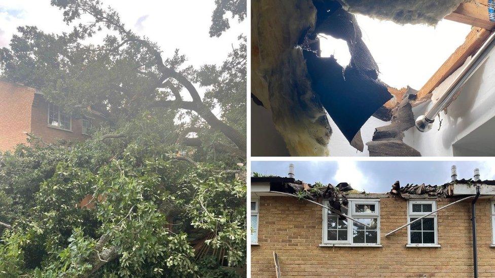 Tree damage to house