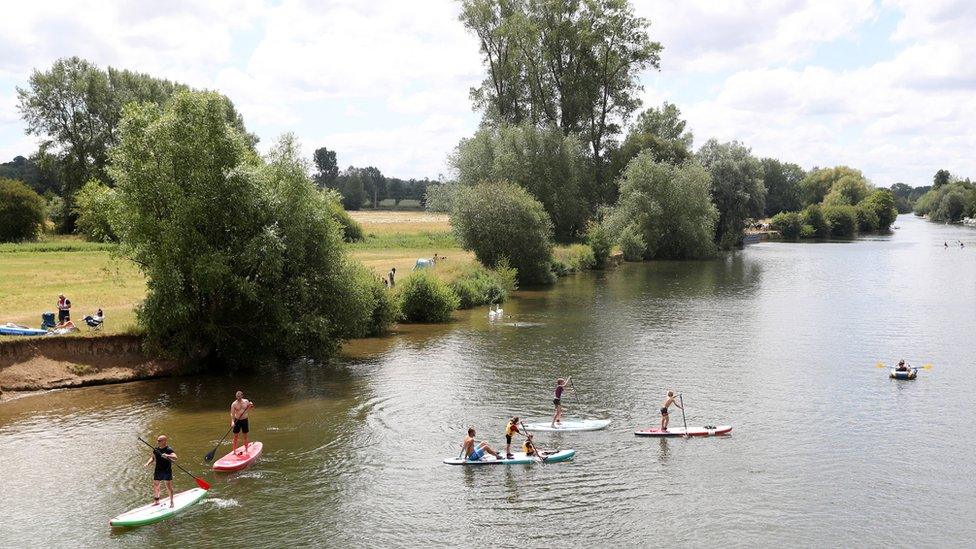 Paddleboard