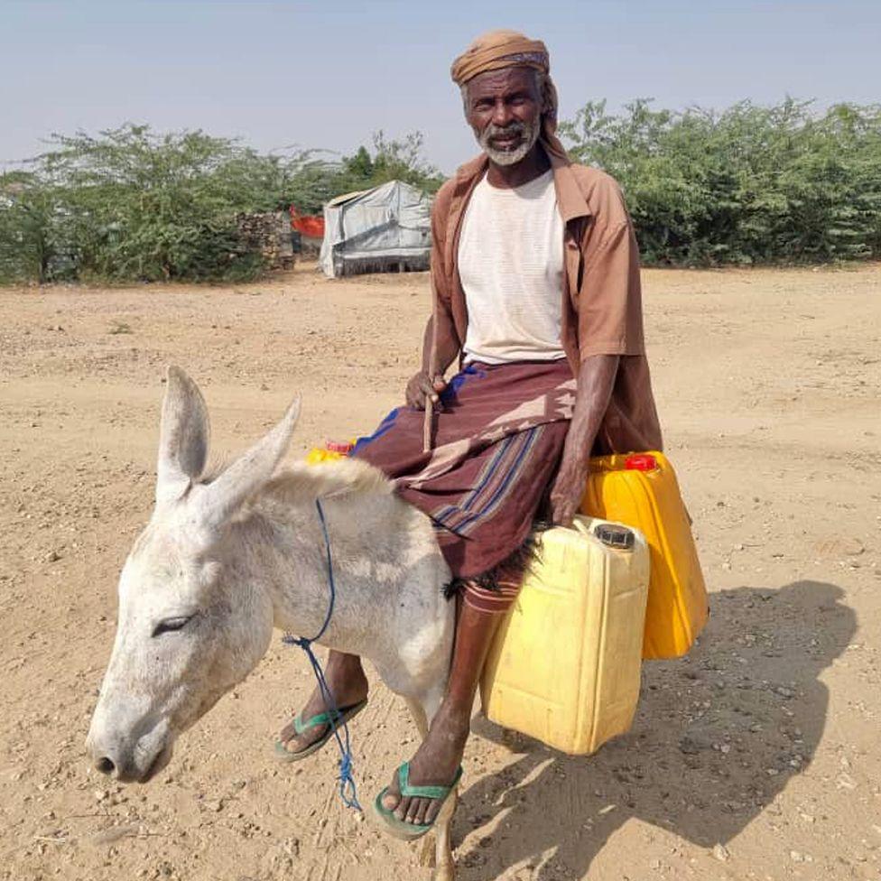 A man sits on a donkey, carrying large yellow canisters. 