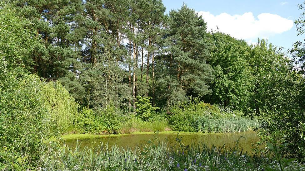 The arboretum at Jodrell Bank