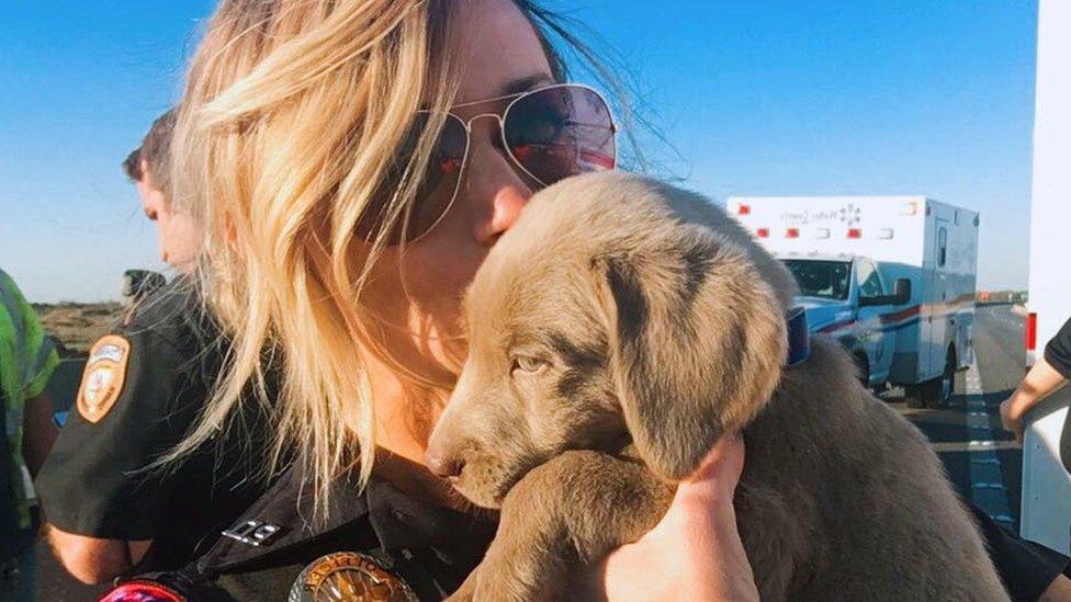 A woman with blonde hair wearing sunglasses and a police uniform holds up a brown lab and kisses it.