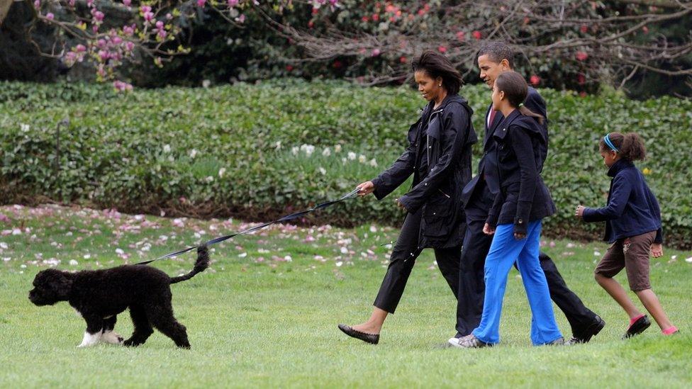 US President Barack Obama, First Lady Michelle Obama and their two daughters Sasha and Malia walk the new White House dog Bo in April 2009