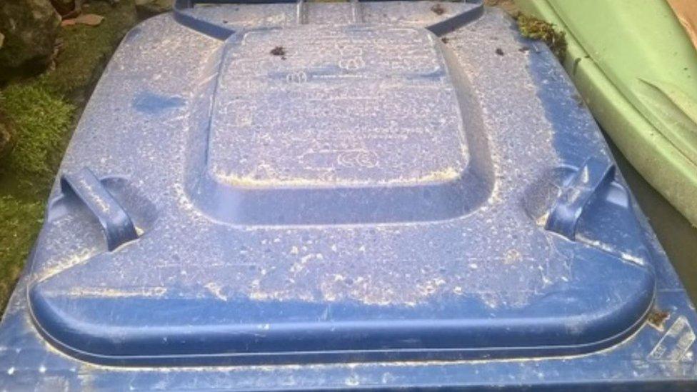 Dust on the lid of a blue wheelie bin