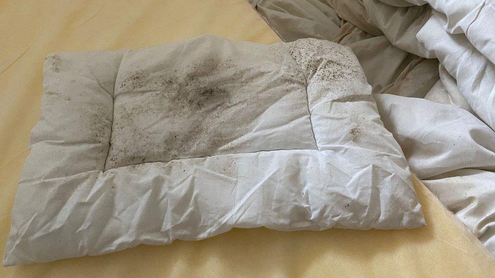 Mouldy pillow in the flat