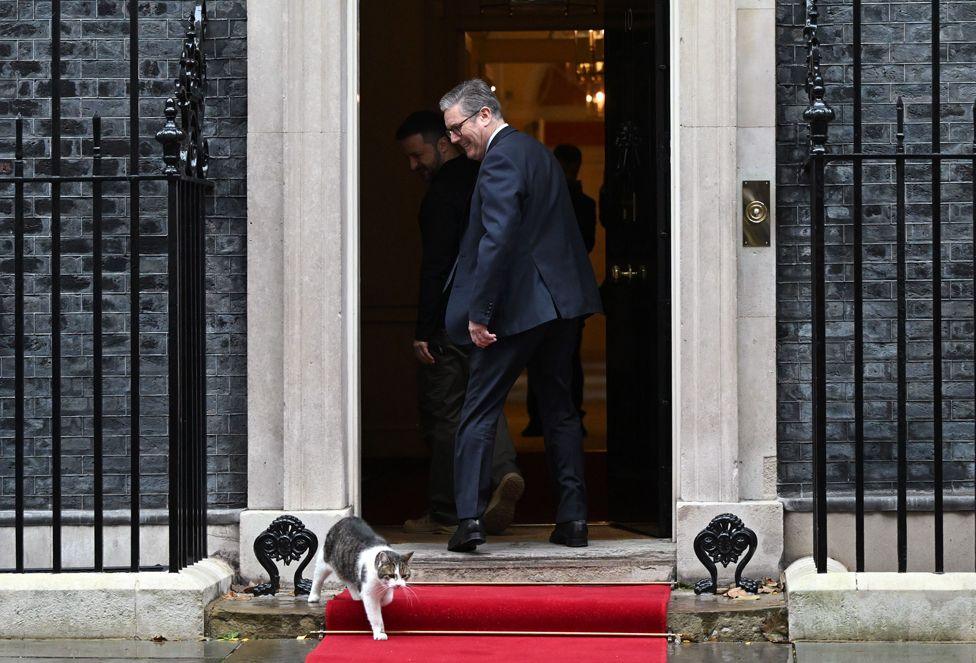 British Prime Minister Keir Starmer meeting Ukrainian President Volodymyr Zelenskyy at 10 Downing Street, London, as Larry the Cat walks out the door onto the red carpet