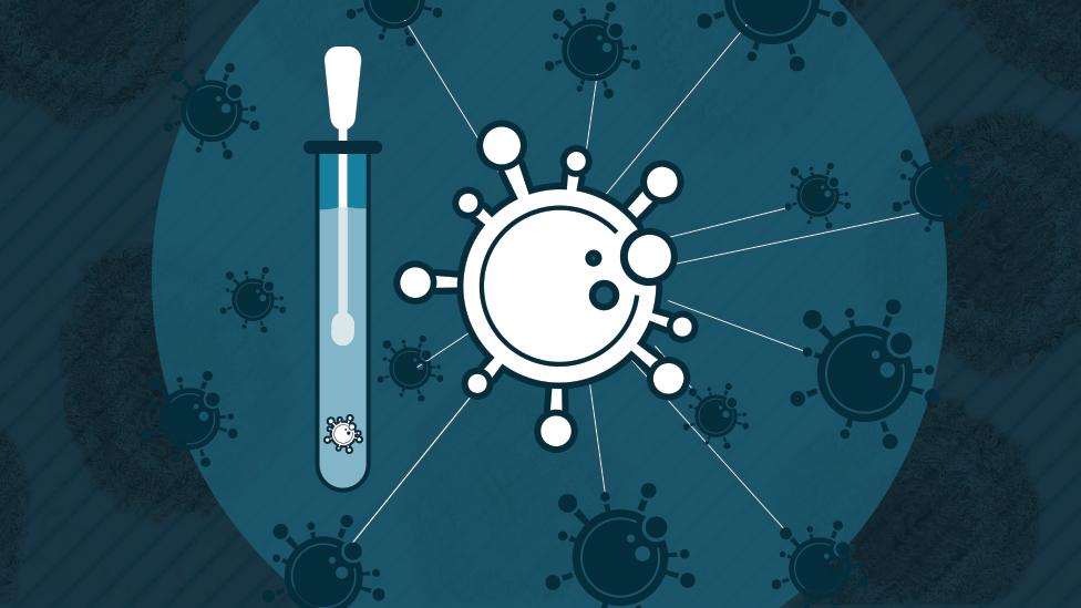 Covid molecule and test kit artwork