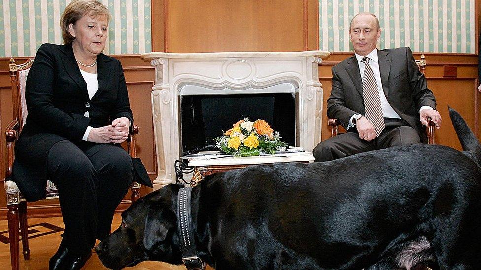 Russian President Vladimir Putin (R) and German Chancellor Angela Merkel are watched by Putin's dog Koni as they address journalists after their working meeting at the Bocharov Ruchei residence in Sochi, 21 January 2007.