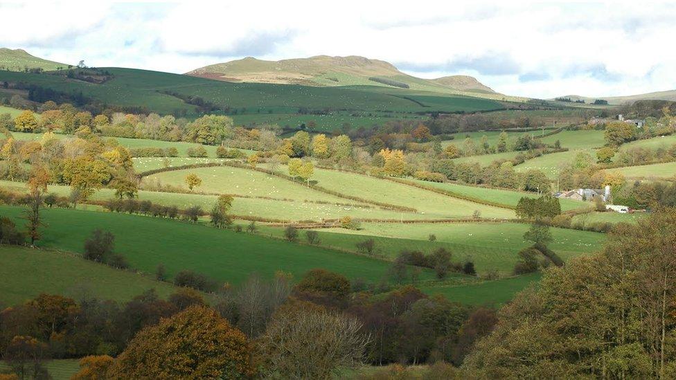 Countryside near Llandrindod Wells