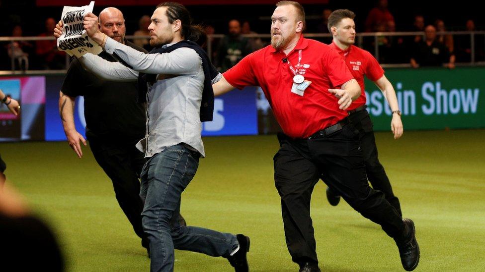 Protester at Crufts