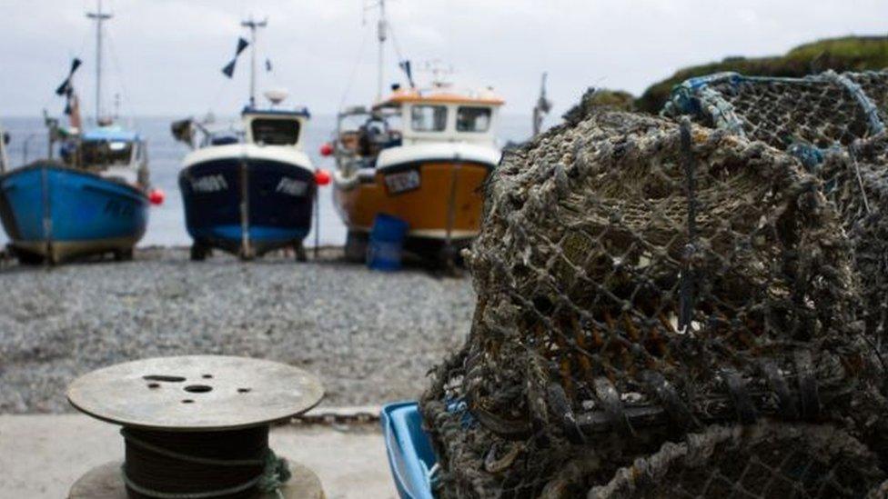 Fishing ships