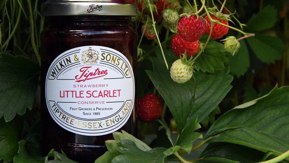 A picture of a strawberry Jam jar in a strawberry bush. There are green leaves and red strawberries